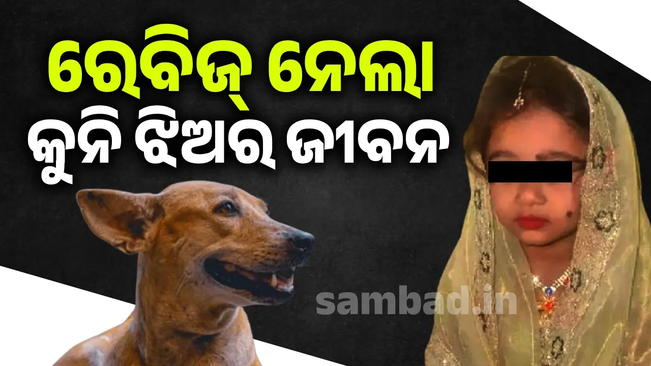  ବୁଲା କୁକୁର କାମୁଡ଼ାରେ ଗଲା ଜୀବନ, ୪ମାସର ଚିକିତ୍ସାରେ ୮ଲକ୍ଷ ଖର୍ଚ୍ଚ କରିଥିଲେ ପରିବାର