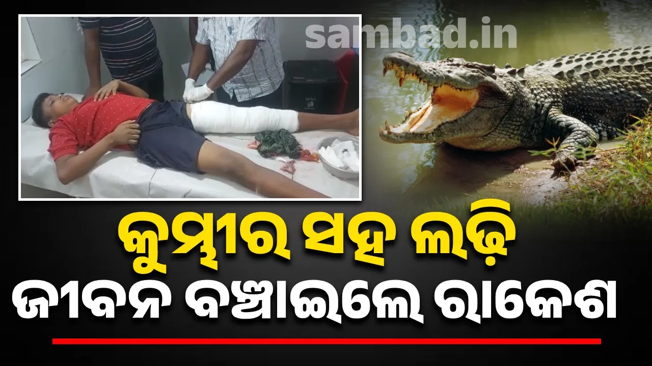  କୁମ୍ଭୀର ସହ ଲଢ଼େଇ କରି ଜୀବନ ବଞ୍ଚାଇଲା ନାବାଳକ, ବୃଦ୍ଧଙ୍କ ମୃତ୍ୟୁ