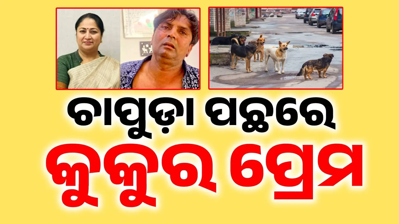  ରେଖାଙ୍କୁ ମାଡ଼ ମାରିଲା ରିକ୍ସାବାଲା: କୁକୁର ପ୍ରେମରୁ ମୁଖ୍ୟମନ୍ତ୍ରୀଙ୍କୁ ଆକ୍ରମଣ… ଗତକାଲି ରେକି କରିଥିଲା ରାଜେଶ