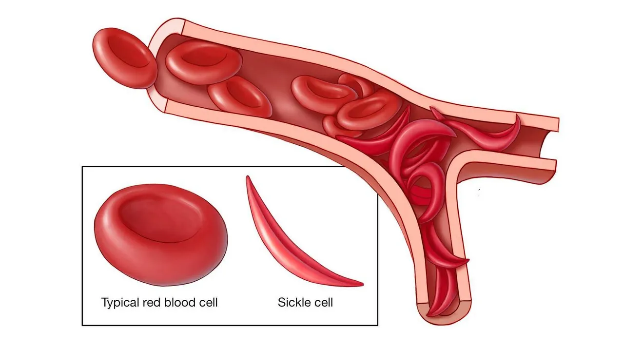  Photograph: (Mayo Clinic News Network) 