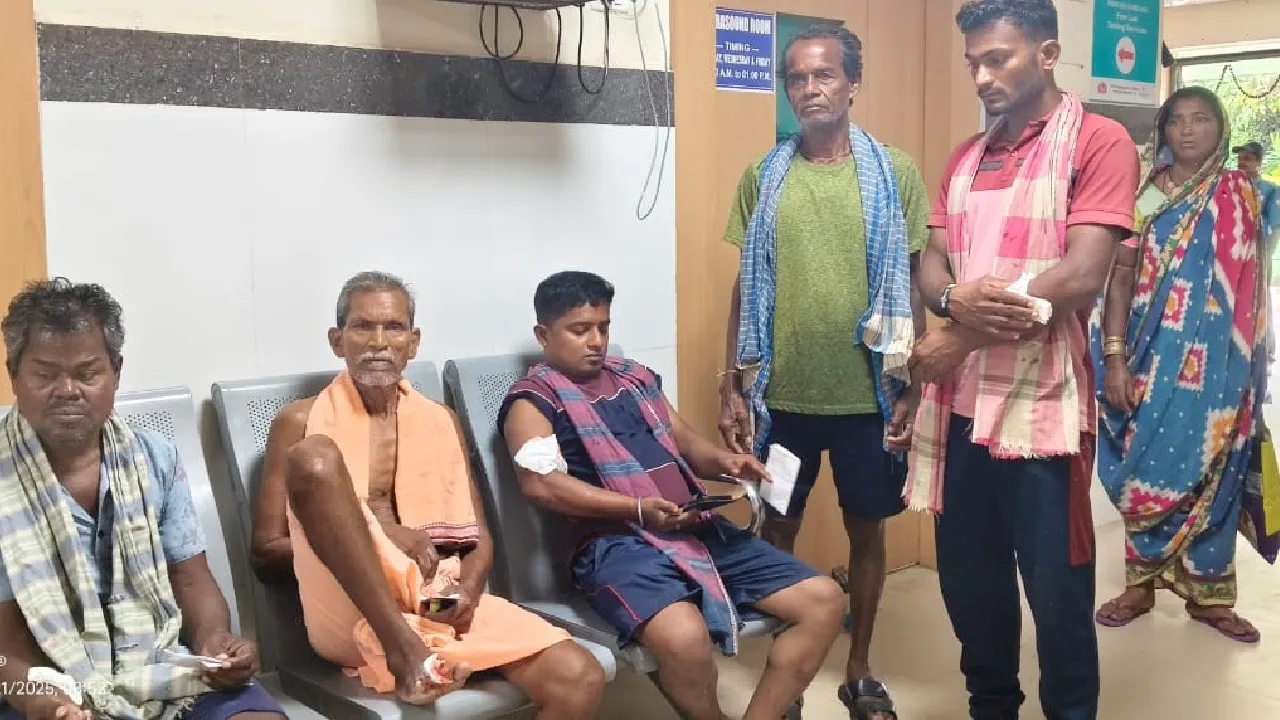  ଧରାକୋଟ ଅଞ୍ଚଳରେ ପାଗଳା କୁକୁର କାମୁଡ଼ା ଆତଙ୍କ