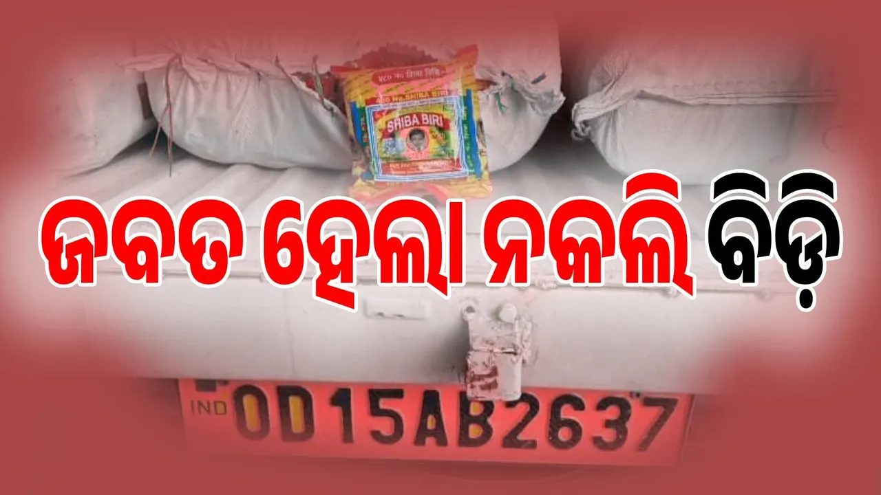  ନକଲି ବିଡି କାରବାର ଉପରେ ଚଢ଼ାଉ କଲା ଜିଏସଟି ବିଭାଗ
