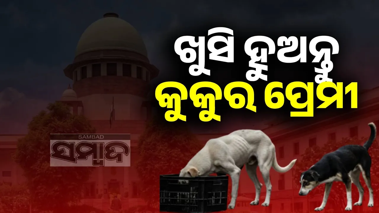  କୁକୁର ପ୍ରେମୀଙ୍କ ପାଇଁ ଖୁସି ଖବର: ଆଶ୍ରୟ ଗୃହରୁ ମୁକୁଳିବେ ବୁଲା କୁକୁର