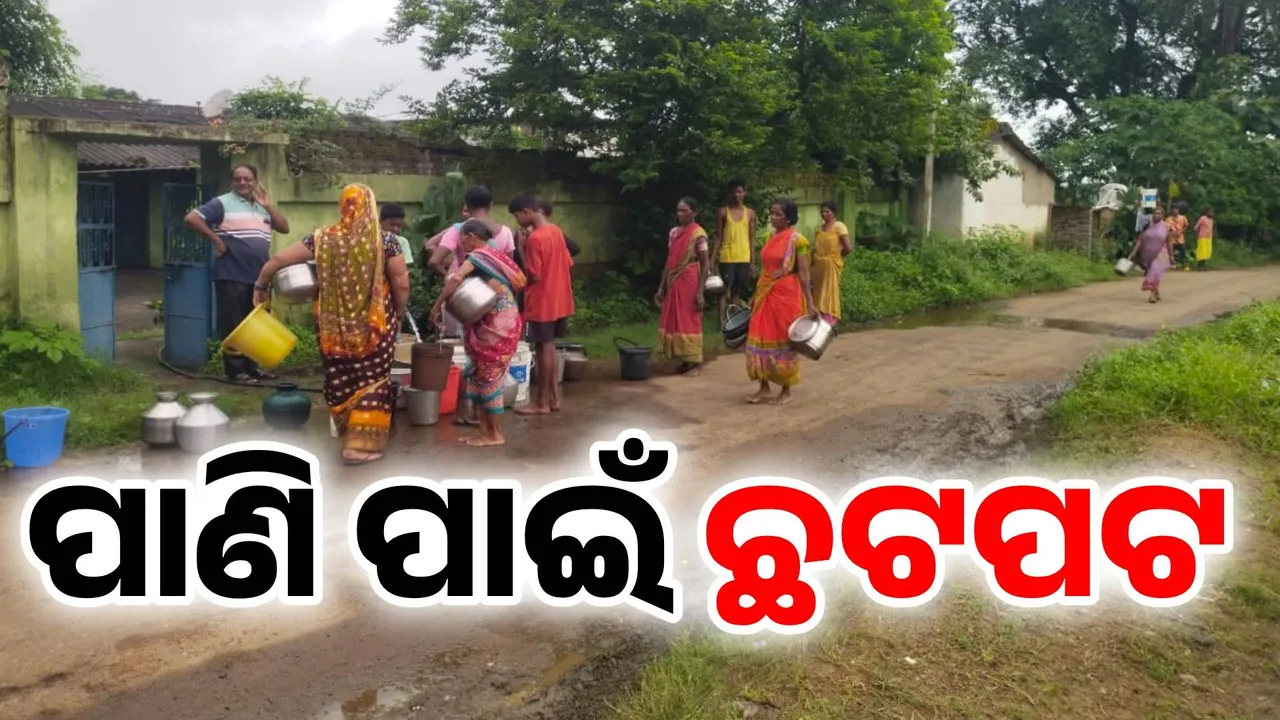 ପାଣି ସମସ୍ୟା ଘେରରେ ପାଣ୍ଡୁରିଶିଳା ଗ୍ରାମବାସୀ; ଦୁଇ ମାସରୁ ଅଧିକ ଦିନ ହେଵ ନଳକୂପ ଅଚଳ