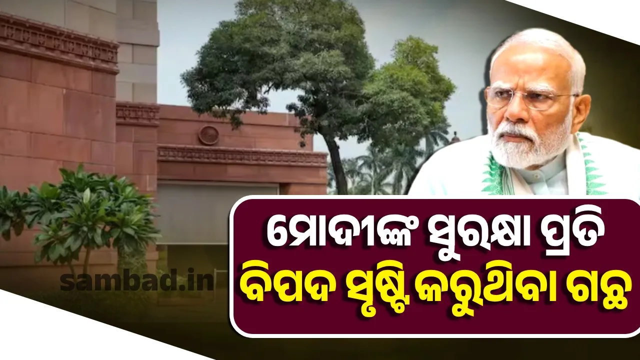  ମୋଦୀଙ୍କ ସୁରକ୍ଷା ପ୍ରତି ବିପଦ ସୃଷ୍ଟି କରୁଥିବା ଗଛ