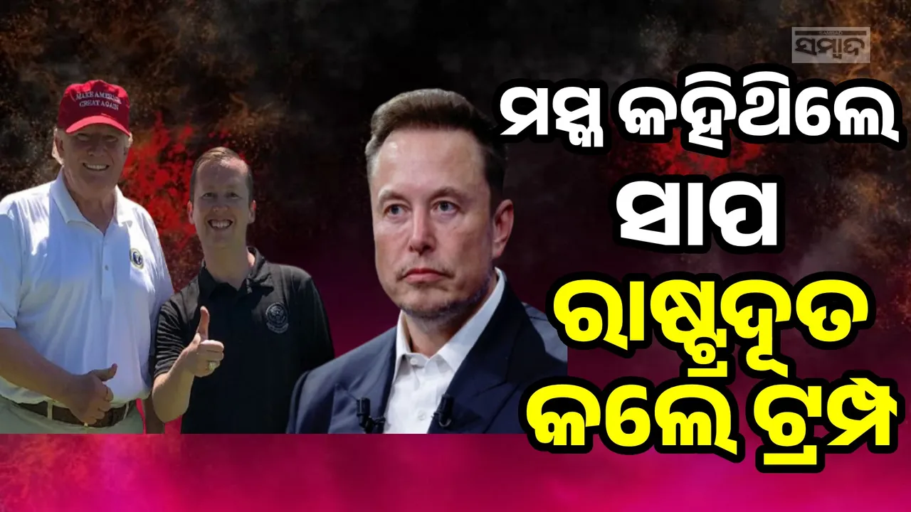  ମିଛୁଆକୁ ରାଷ୍ଟ୍ରଦୂତ କରିଦେଲେ ଟ୍ରମ୍ପ; ଜାଣନ୍ତୁ କାହିଁକି ଏଭଳି ହେଉଛି ଚର୍ଚ୍ଚା
