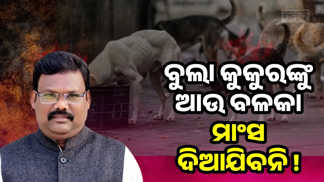  ବୁଲା କୁକୁରଙ୍କୁ ବଳକା‌ ଚିକେନ୍-ମଟନ ମାଂସ ଦିଆଯିବ ନାହିଁ: ଗୋକୁଳାନନ୍ଦ ମଲ୍ଲିକ