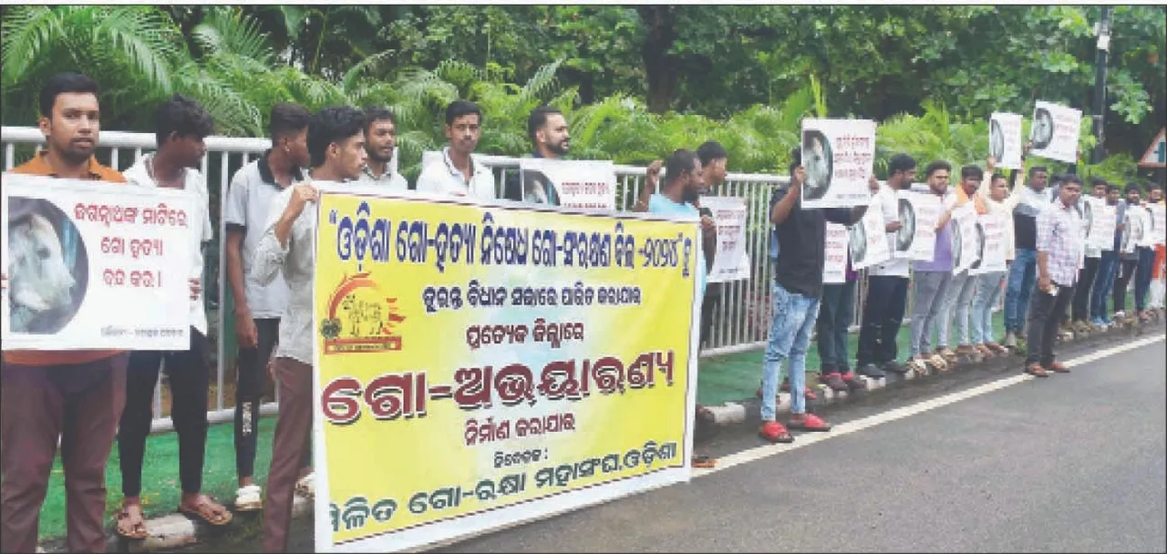  ବିଡିଏର ଗୋଶାଳା ଉଚ୍ଛେଦକୁ ବିରୋଧ