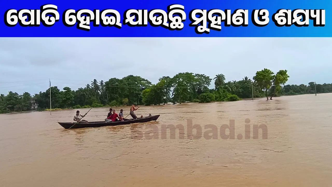  ଶୀତଳ ଭଣ୍ଡାରରେ ‘ସୁବର୍ଣ୍ଣରେଖା ସଂସ୍କାର ଯୋଜନା’