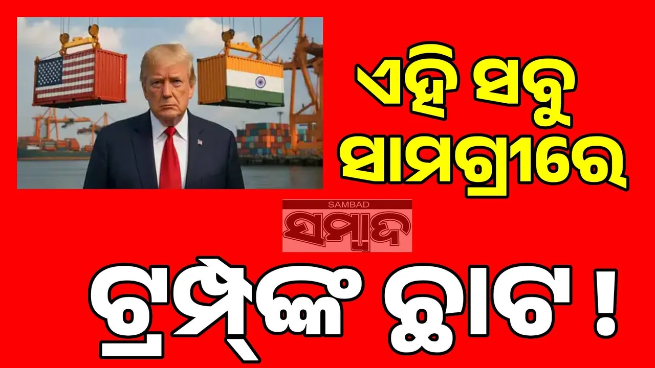  ଟ୍ରମ୍ପ୍‌ଙ୍କ ଟାରିଫ୍‌ ମାଡ଼ରେ ସବୁଠାରୁ ପ୍ରଭାବିତ ହେବ ଏହି ସବୁ ସାମଗ୍ରୀ