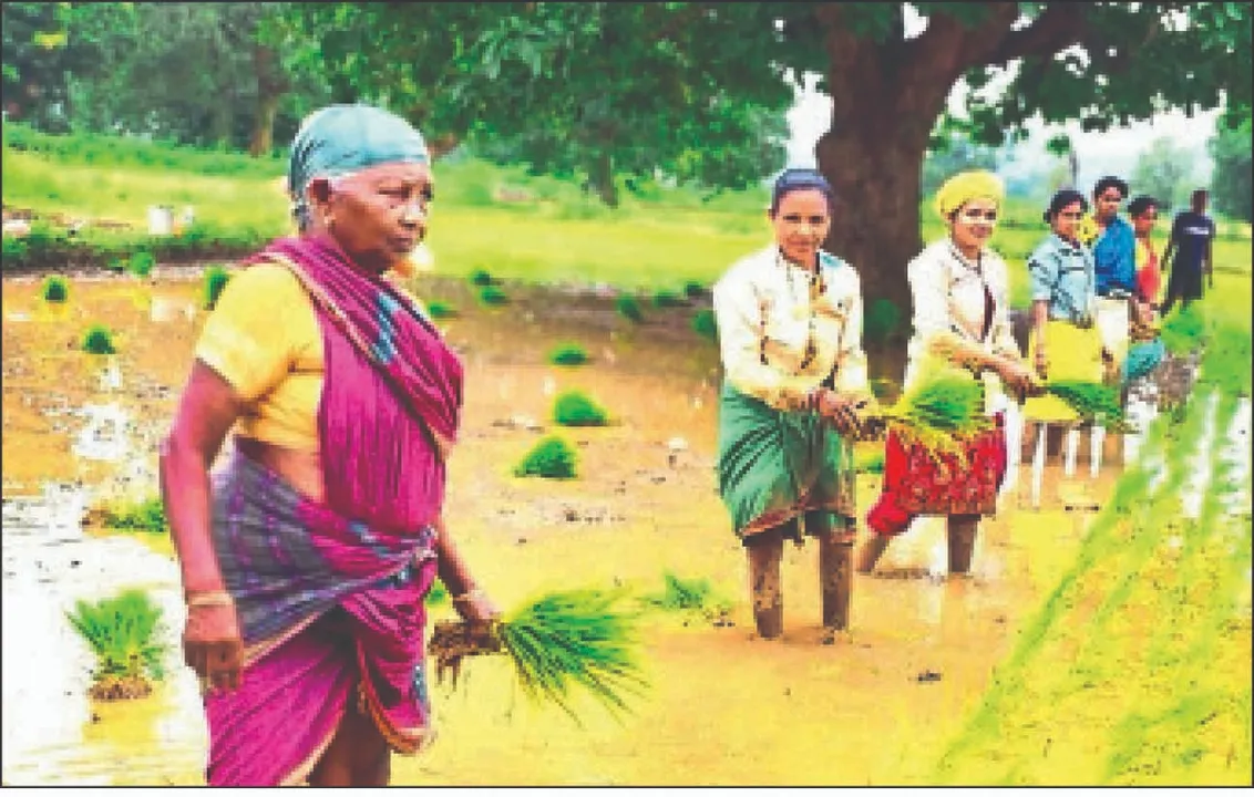  ବେଦାନ୍ତ ଲାଞ୍ଜିଗଡ଼ ପ୍ରକଳ୍ପ ‘ସଙ୍ଗମ’ରେ ଶ୍ରୀ ପ୍ରଣାଳୀ ଧାନଚାଷ