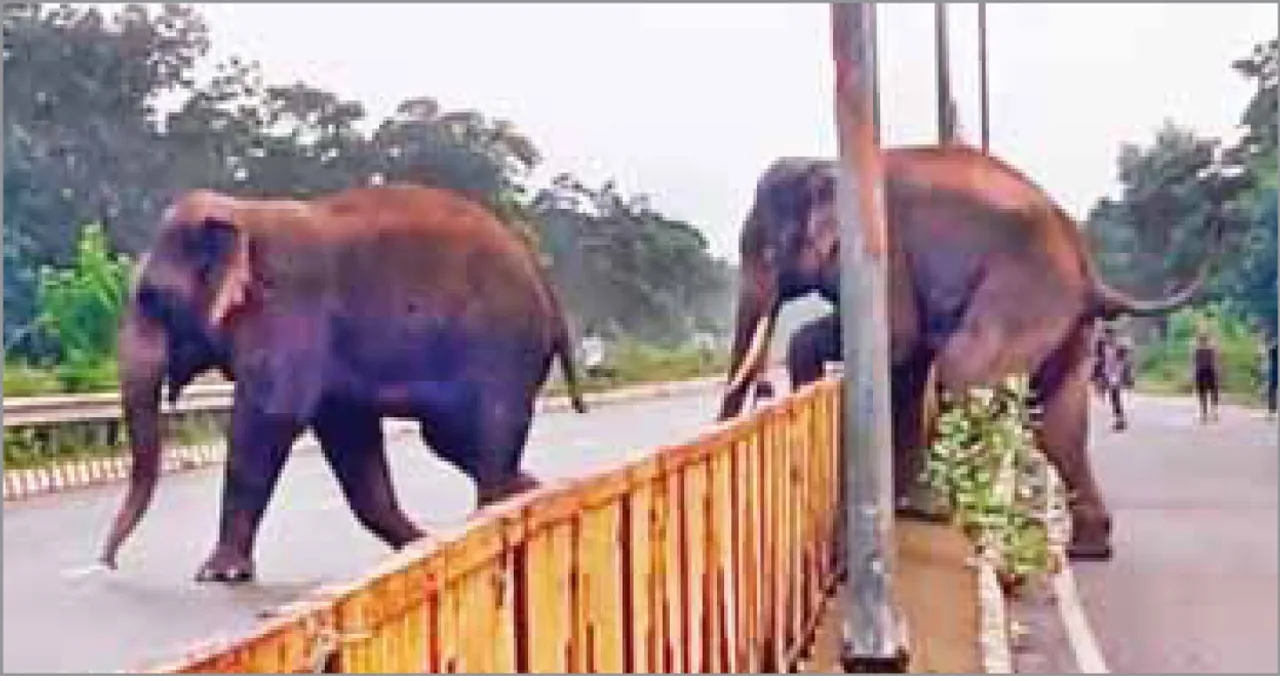  ରାଜପଥରେ ମାଈହାତୀ ସହ ଦନ୍ତା: ଭାଙ୍ଗିଲେ ଲୁହା ଡିଭାଇଡର୍‌, ଘଣ୍ଟାଏ ଯାତାୟାତ ବନ୍ଦ