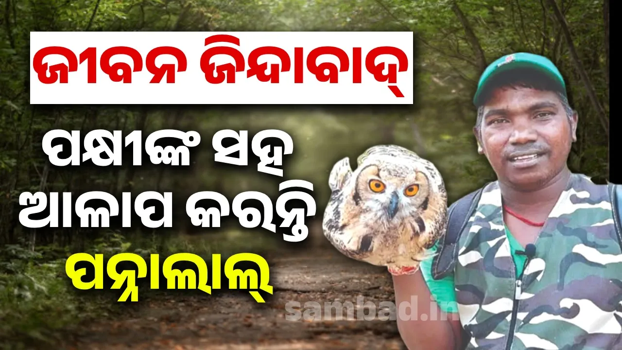 ଜୀବନ ଜିନ୍ଦାବାଦ୍‌: ପକ୍ଷୀଙ୍କ ସ‌ହ ଆଳାପ କରନ୍ତି ପନ୍ନାଲାଲ୍‌