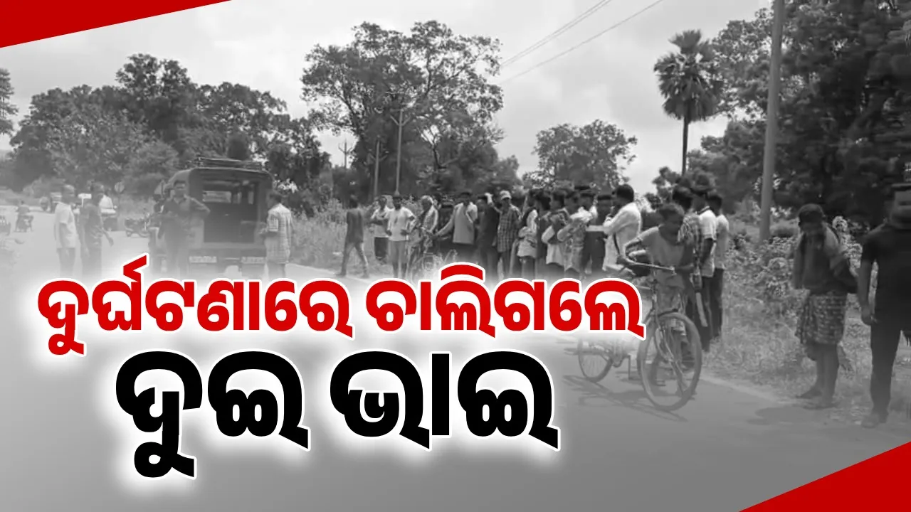  ପିକଅପ ଗାଡି ଧକ୍କାରେ ଦୁଇ ଭାଇଙ୍କର ମୃତ୍ୟୁ