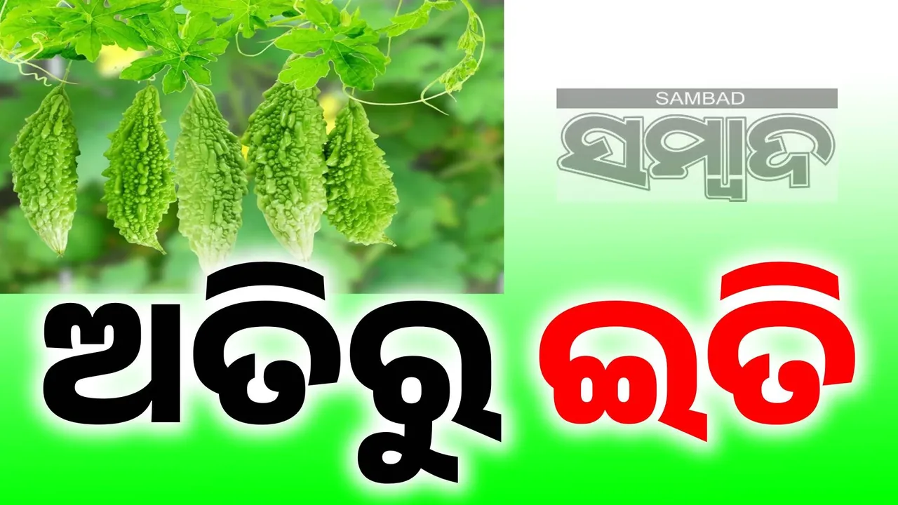  ଦେହ ପାଇଁ ହିତ ପରିବା କଲରା ବି ଆଣିପାରେ ବିପଦ; ଏହି ରୋଗୀ ହୋଇଥିଲେ ଖାଇବେ ନାହିଁ