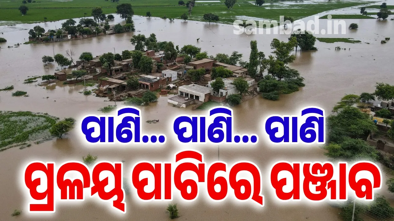  ପାଣି ପାଟିରେ ପଞ୍ଜାବ: ବନ୍ୟା ନେଲାଣି ୨୯ ଜୀବନ, ପାଣି ଘେରରେ ୧୩୦୦ ଗାଁ… ଅଢେଇ ଲକ୍ଷ ଲୋକ ପ୍ରଭାବିତ