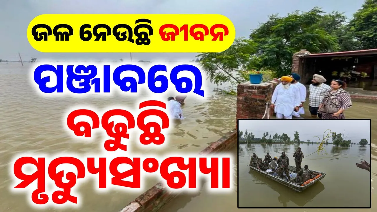  ୧୯୮୮ ମସିହା ପରେ ସବୁଠାରୁ ବଡ଼ ବନ୍ୟାର ସାମ୍ନା କରୁଛି ପଞ୍ଜାବ: ସବୁ ଜିଲ୍ଲା ଜଳବନ୍ଦୀ, ଗଲାଣି ୩୭ ଜୀବନ…