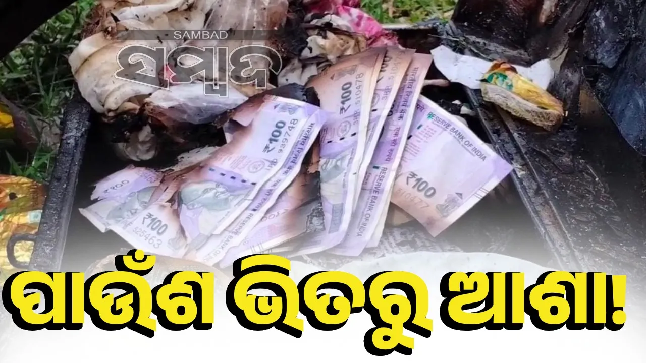  ନିଆଁ ଗିଳି ଦେଲା ଧନ: ପୋଡ଼ା ଅଙ୍ଗାରରୁ ବଞ୍ଚିବାର ସାହାରା ଖୋଜୁଛନ୍ତି ବୃଦ୍ଧ