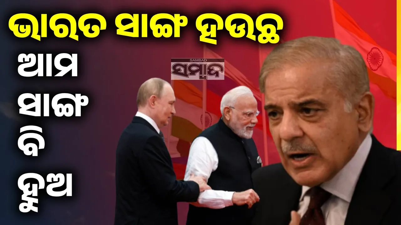  ଭାରତ ସହ ଆପଣଙ୍କ ବନ୍ଧୁତ୍ବକୁ ଆମେ ସମ୍ମାନ ଜଣାଉଛୁ, ଆମ ସହ ବି ରଖନ୍ତୁ: ପୁଟିନଙ୍କୁ ନିବେଦନ କଲେ ଶେହବାଜ୍‌
