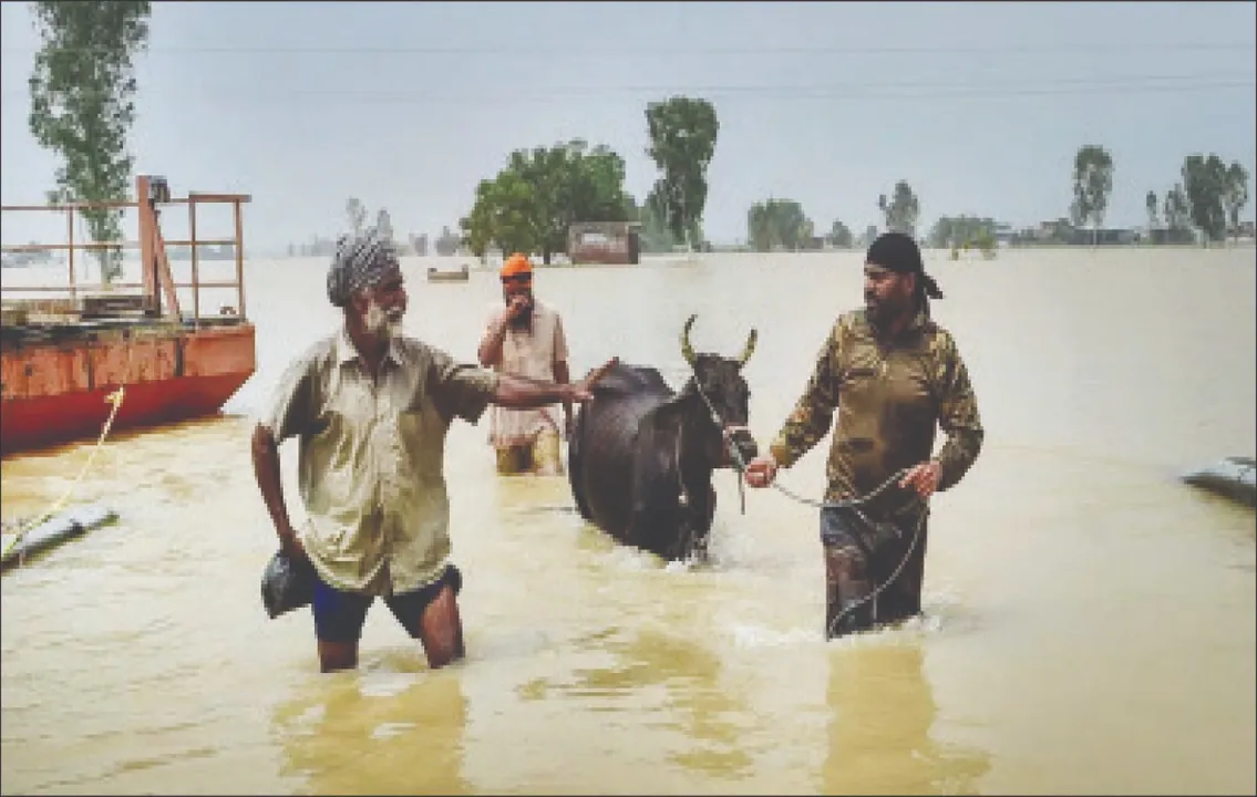  ହିମାଚଳ, ପଞ୍ଜାବ, ଜମ୍ମୁ-କାଶ୍ମୀର ସ୍ଥିତି ଜଟିଳ: ମଣ୍ଡିରେ ଭୂସ୍ଖଳନ, ୭ ମୃତ