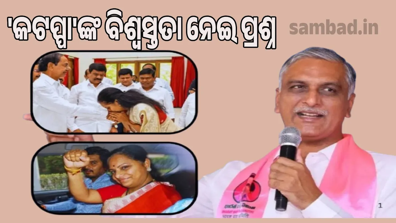  Kavitha questions KCR's 'Kattappa' Harish Rao's loyalty Photograph: (sambad.in) 