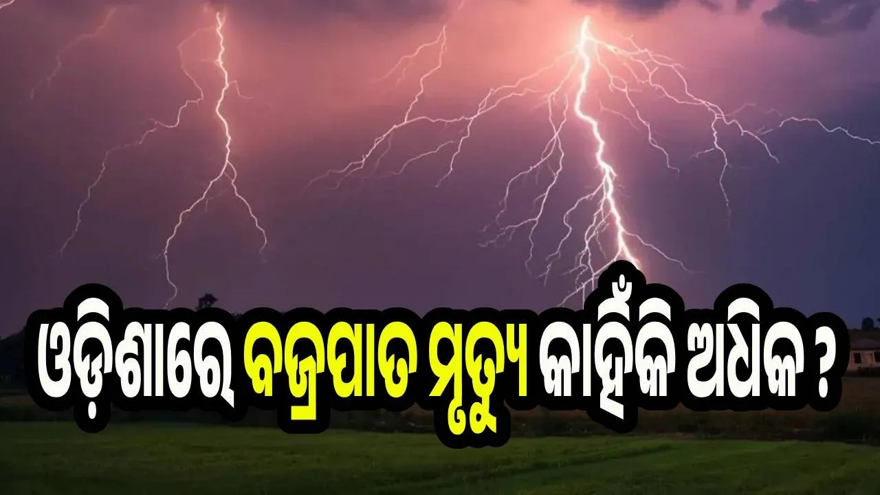  ଓଡ଼ିଶାରେ ବଜ୍ରପାତ ମୃତ୍ୟୁ କାହିଁକି ଅଧିକ ? ସ୍କାଏମେଟ୍ ରିପୋର୍ଟରେ ଚିନ୍ତାଜନକ ତଥ୍ୟ