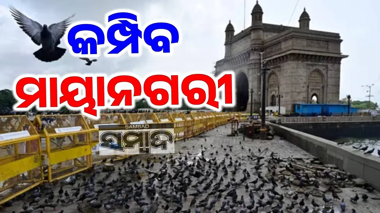  ବୋମା ଧମକ ପରେ ମୁମ୍ବାଇରେ ଖେଳିଗଲା ଆତଙ୍କ: ଲୋପ ପାଇଯିବ କୋଟିଏ ଜନସଂଖ୍ୟା!