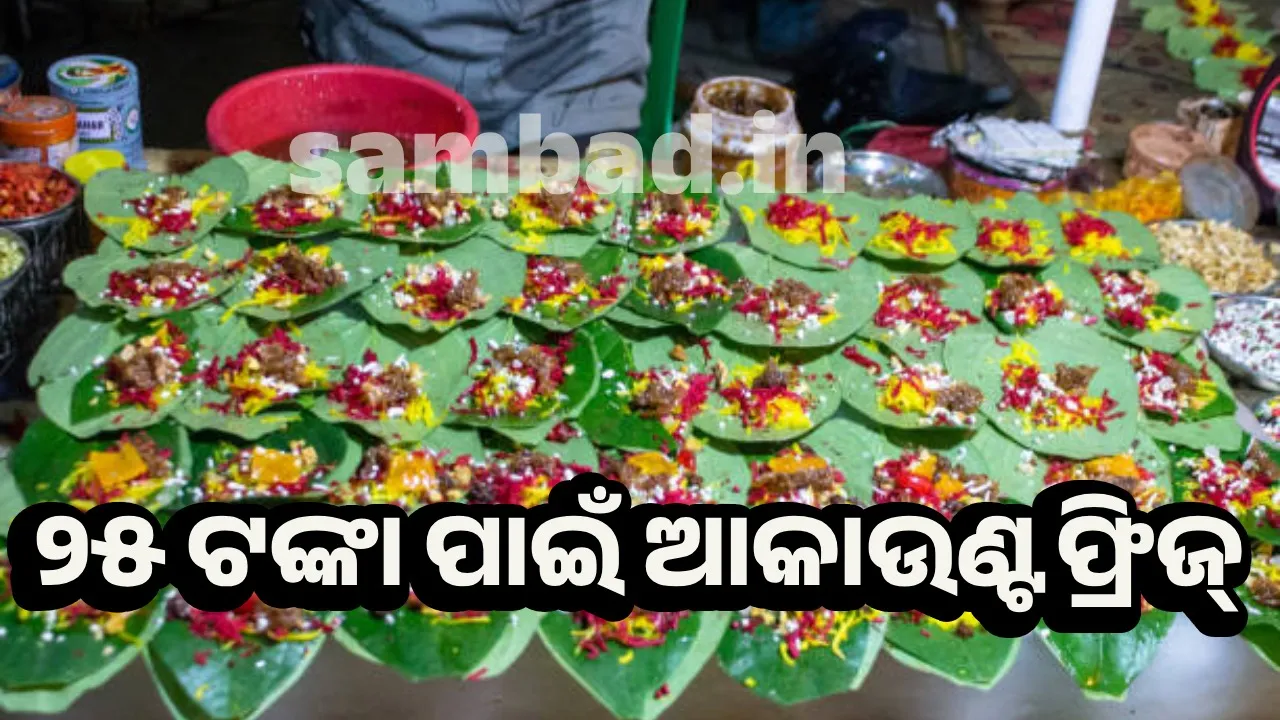  ହେରଫେର କଲେ ସାଇବର୍‌ ଠକ, ଦଣ୍ଡ ଭୋଗୁଛନ୍ତି ପାନଦୋକାନୀ