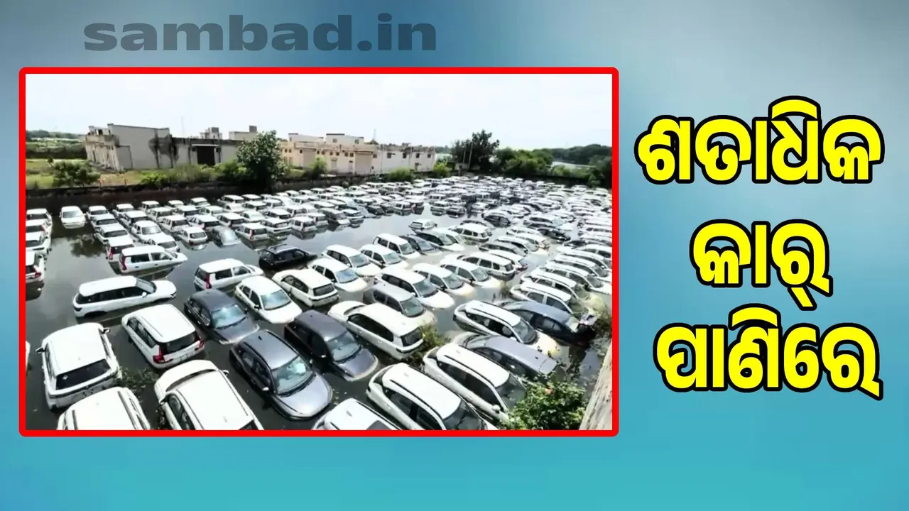  Flood crisis in Bahadurgarh: Factories closed, hundreds of cars submerged in water Photograph: (sambad.in) 