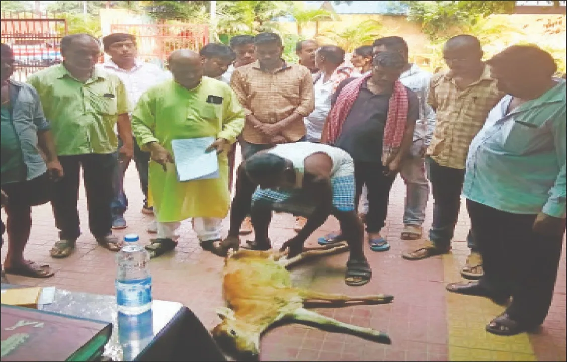  ଦୁଗ୍ଧ ଚାଷୀଙ୍କୁ ମାଡ଼ମାରିଲେ ଦୁର୍ବୃତ୍ତ: ମଞ୍ଚେଶ୍ବର ଥାନା ‌ଘେରିଲା ଦୁଗ୍ଧଚାଷୀ ମହାସଂଘ