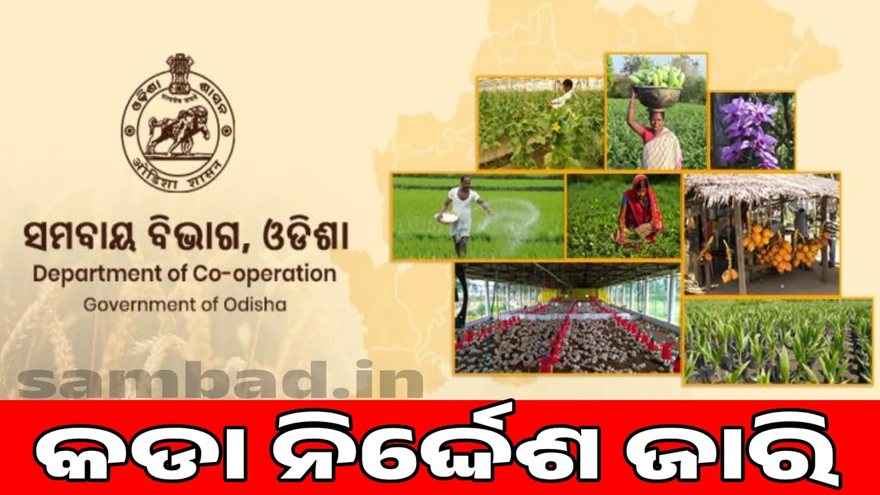  Fertilizer distribution problem: Cooperative Department issues strict instructions Photograph: (sambad.in) 