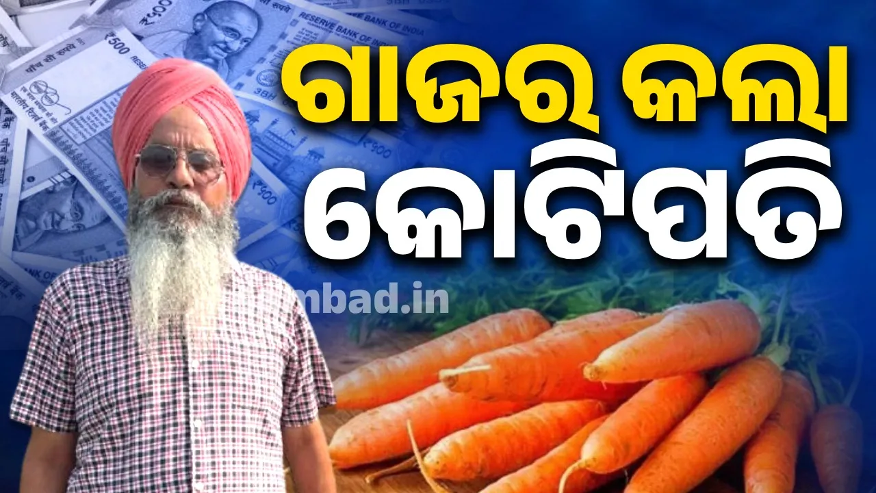  ଆର୍ଥିକ ସମସ୍ୟା ପାଇଁ ପାଠପଢ଼ା ଛାଡ଼ିଥିଲେ, ଗାଜର ଚାଷ କରିଦେଲା କୋଟିପତି