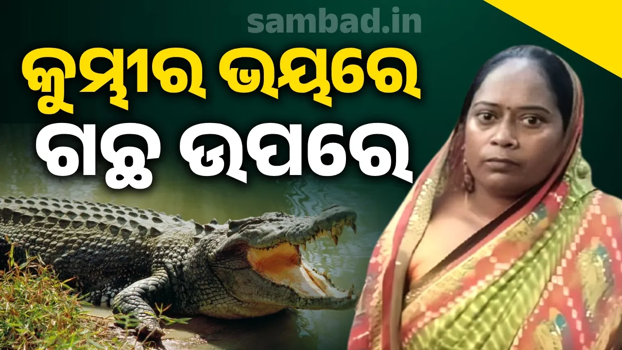  ସ୍ବାମୀ-ସ୍ତ୍ରୀଙ୍କ କଳି: କୁମ୍ଭୀର ଭୟରେ ରାତି ସାରା ଗଛ ଉପରେ ରହିଲେ ମାଳତୀ