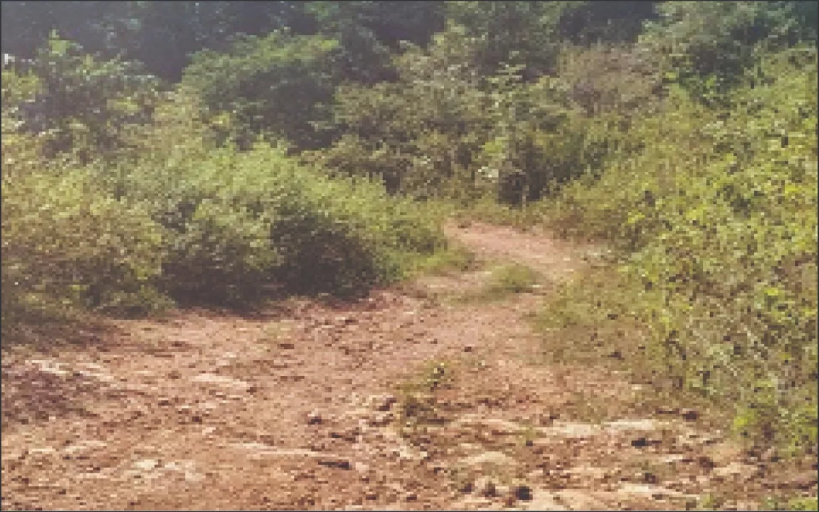  ସୀମାନ୍ତରେ ବାଟବଣା ବିକାଶ: ୯ ଖଣ୍ଡ ଗାଁକୁ ଭରସା ପାଦଚଲା ରାସ୍ତା