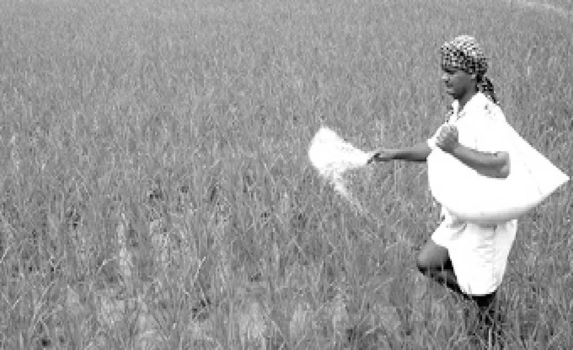  ସରଳ ବିଚାର: ୟୁରିଆ ସଂକଟ ଓ ସମାଧାନର ରାସ୍ତା