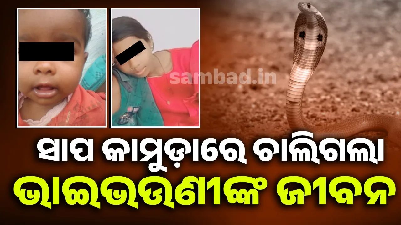  ବିଷାକ୍ତ ସାପ କାମୁଡ଼ାରେ ଭାଇ ଓ ଭଉଣୀଙ୍କ ମୃତ୍ୟୁ