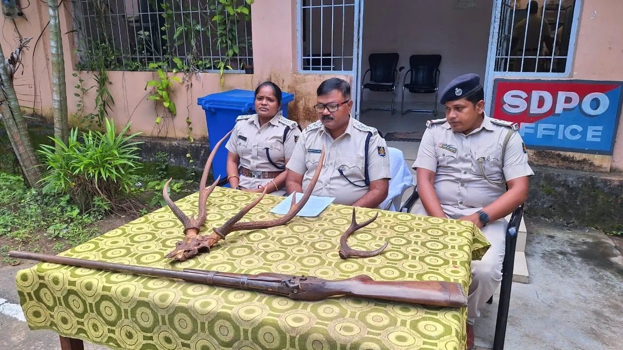  ବନ୍ଧୁକ ସହ ଶିକାରୀ ଗିରଫ; ହରିଣ ଶିଙ୍ଗ ଜବତ