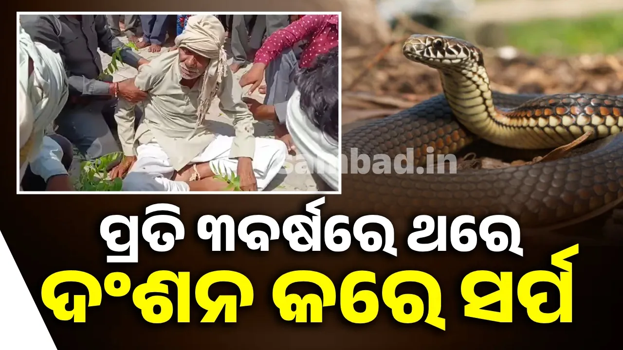  ଗତ ୩୯ ବର୍ଷ ମଧ୍ୟରେ ୧୩ଥର ସାପ ଦଂଶନର ଶିକାର ହୋଇଛନ୍ତି ବୃଦ୍ଧ:  ଦଂଶନ ପୂର୍ବରୁ ଦେଖିଥାଆନ୍ତି ସ୍ବପ୍ନ