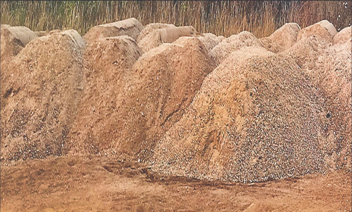 ସୀମାନ୍ତରେ ସକ୍ରିୟ ଅନ୍ତଃରାଜ୍ୟ ମାଫିଆ: ଝାଡ଼ଖଣ୍ଡକୁ ଚାଲାଣ ହେଉଛି ଓଡ଼ିଶା ବାଲି