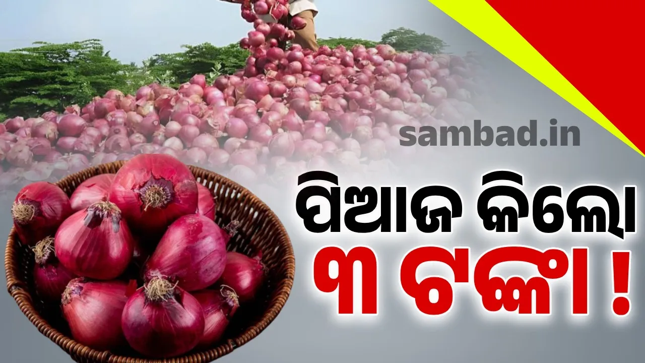  ଏହି ରାଜ୍ୟରେ ପିଆଜ କିଲୋ ୩ ଟଙ୍କା ! ତଥାପି ବିକ୍ରି ହେଉନି