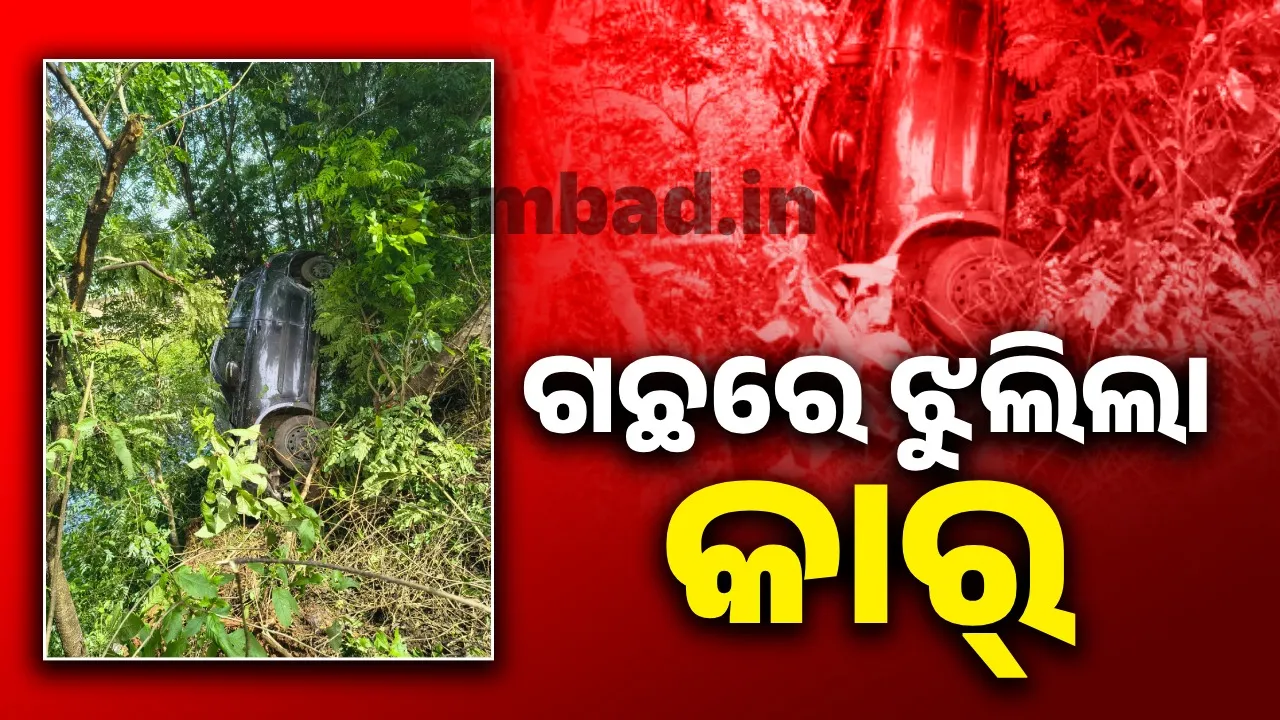  ଗଛରେ ଝୁଲିଲା କାର; ତାକୁ ଦେଖୁ ଦେଖୁ  ଦୁର୍ଘଟଣାଗ୍ରସ୍ତ ହେଲା ଟ୍ରକ୍‌