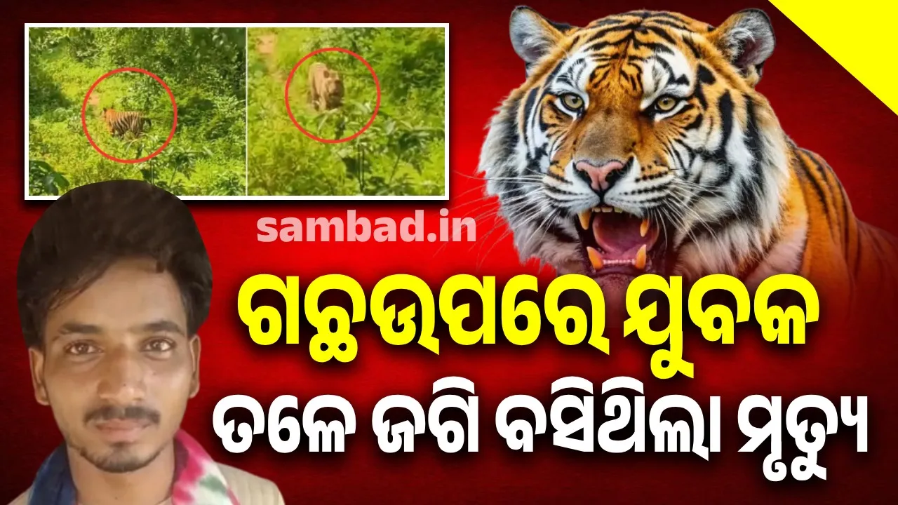  ଉପସ୍ଥିତ ବୁଦ୍ଧି ଖଟାଇ ମୃତ୍ୟୁମୁଖରୁ ଫେରି ଆସିଲେ ଯୁବକ