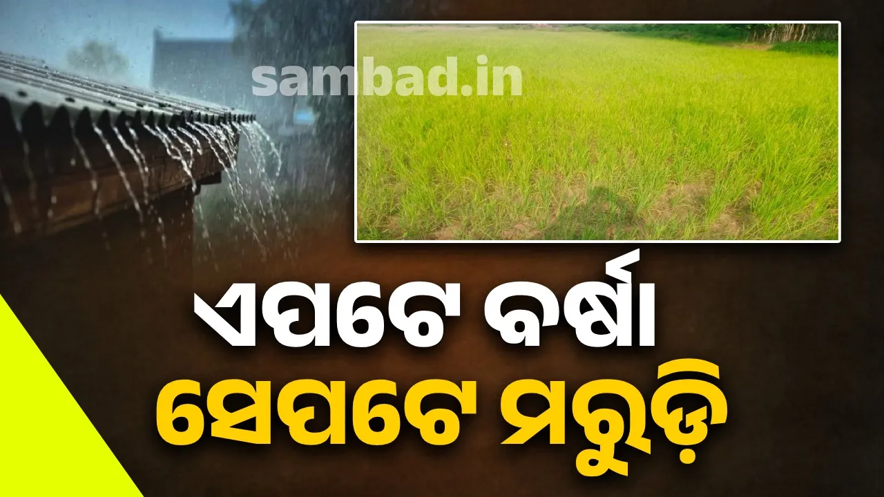  ଉପକୂଳ ଓଡ଼ିଶାରେ ପ୍ରବଳ ବର୍ଷା, କଳହାଣ୍ଡି ଜିଲ୍ଲାରେ ସ୍ଥିତି ସଂପୂର୍ଣ୍ଣ ଓଲଟା