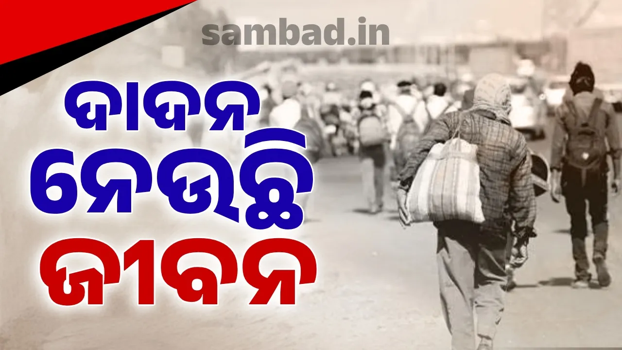  ଦାଦନ ନେଉଛି ଜୀବନ:  ୫ବର୍ଷରେ ୨୮୯ଜଣ ପ୍ରବାସୀଙ୍କ ମୃତ୍ୟୁ
