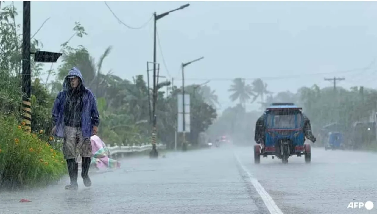  Photograph: (https://en.vietnamplus.vn/) 