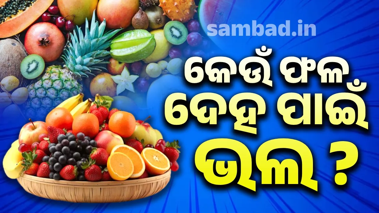  କେଉଁ ଫଳ ଖାଇଲେ ଶରୀର ରହିବ ସୁସ୍ଥ ? ଜାଣନ୍ତୁ ରୋଗ ପ୍ରତିରୋଧକ ଶକ୍ତି ବଢାଇବାକୁ କଣ ଖାଇବା ଜରୁରୀ…?
