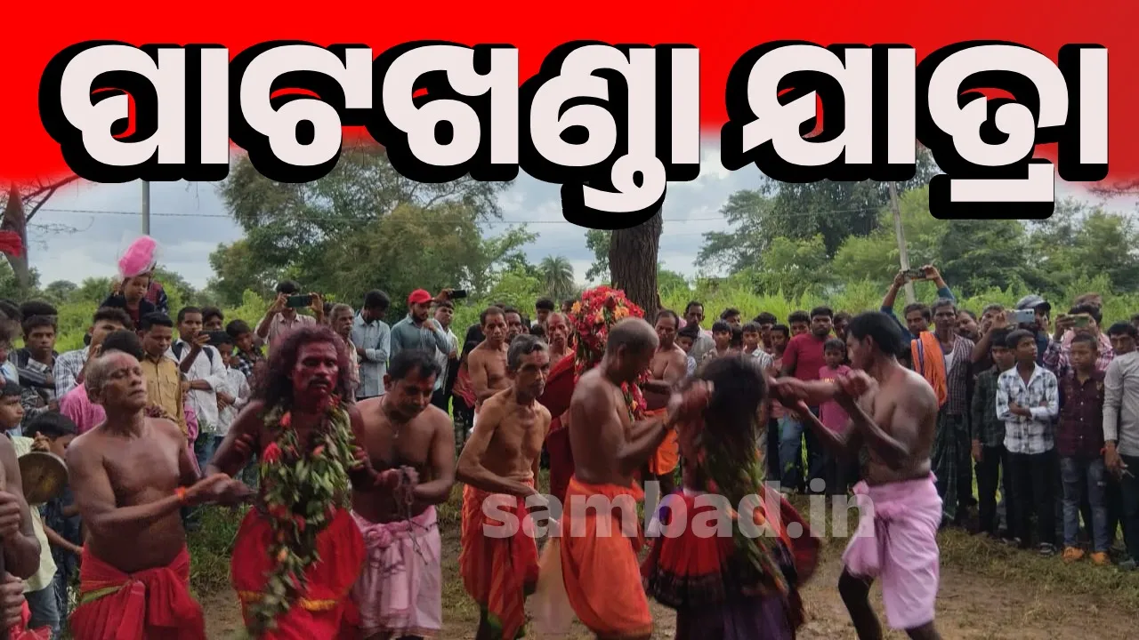  ମାଆ ପାଟଖଣ୍ଡା ଯାତ୍ରା: ନିଶାରାତ୍ରୀରେ ବାଘ ଆସି ପିଏ ଗୋରସ