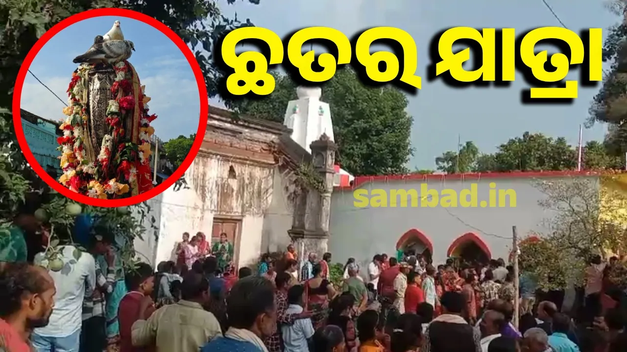  ମାଁ ଡୋକରୀଙ୍କ ଛତର ଯାତ୍ରାରେ ବିରଳ ଦୃଶ୍ୟ ଦେଖିଲେ ଶ୍ରଦ୍ଧାଳୁ