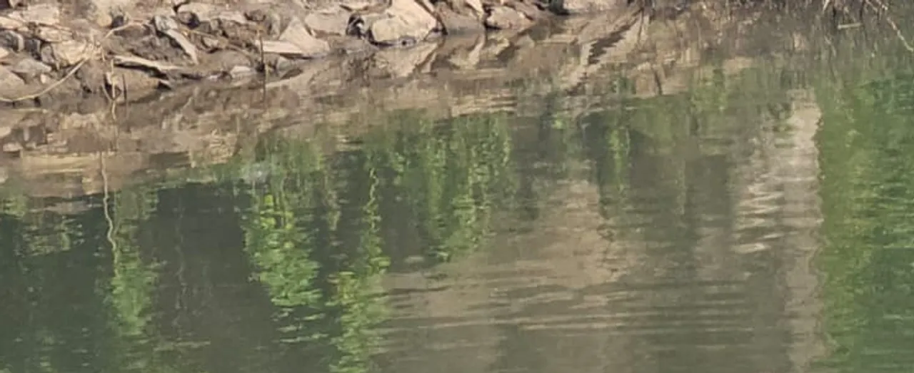  ସୁନ୍ଦରୀ ନଦୀରୁ ମୃତଦେହ ଉଦ୍ଧାର