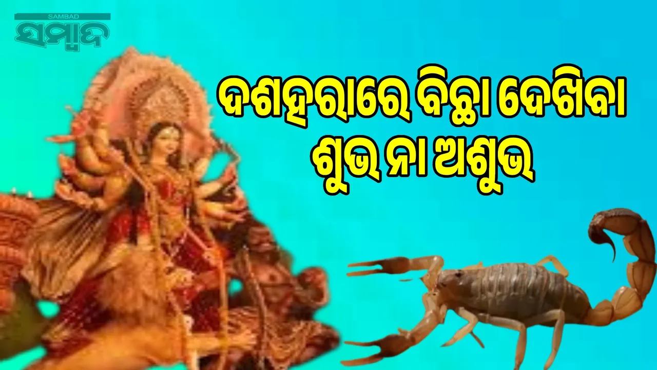  What does seeing a scorpion on Dussehra indicate? Find out what Vastu Shastra says.. 